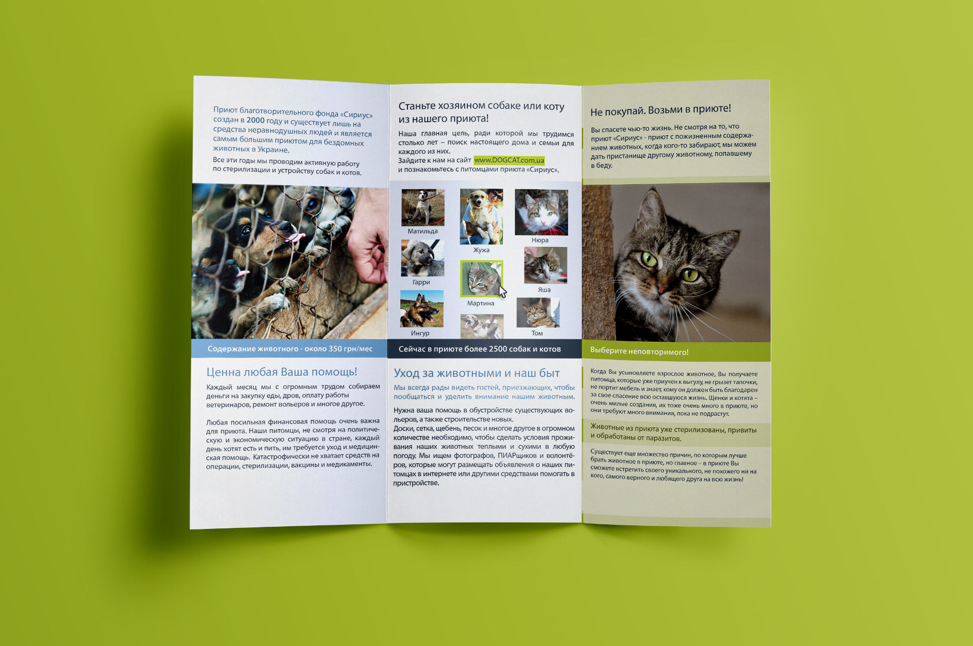 Дизайн листовки для приюта животных, Animal shelter flyer design