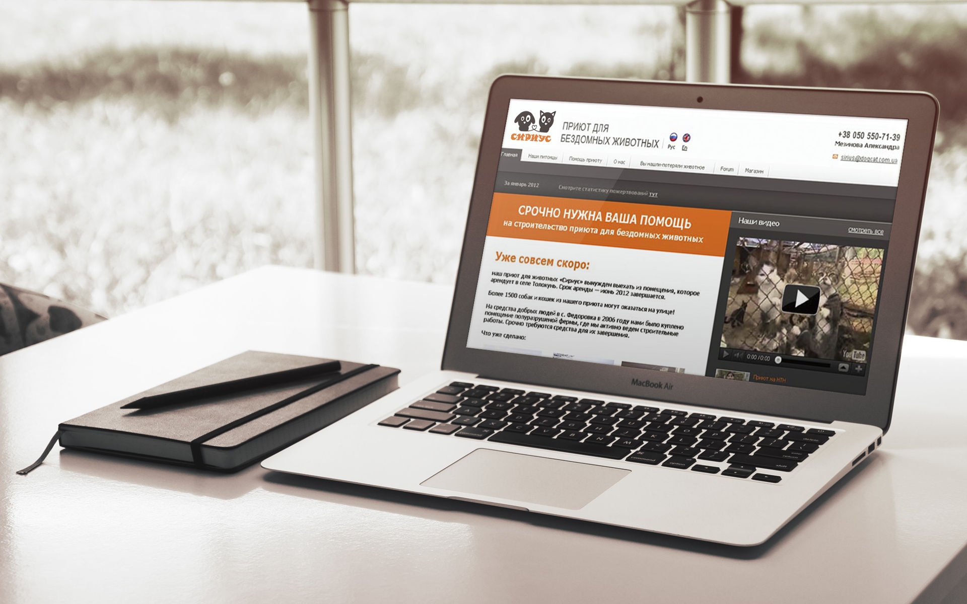 Дизайн сайта для приюта домашних животных, Animal shelter web design